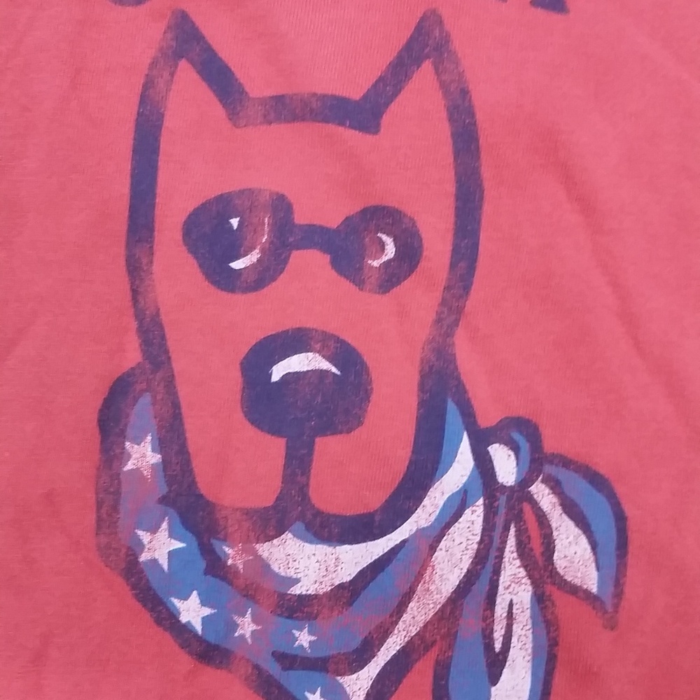 Life Is Good Dog Bandana